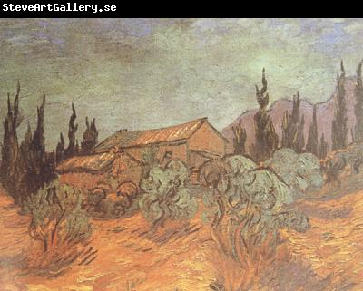 Vincent Van Gogh Wooden Sheds (nn04)